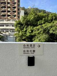城市之脈的優雅節奏：合和酒店