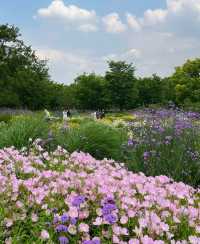 世博文化公園