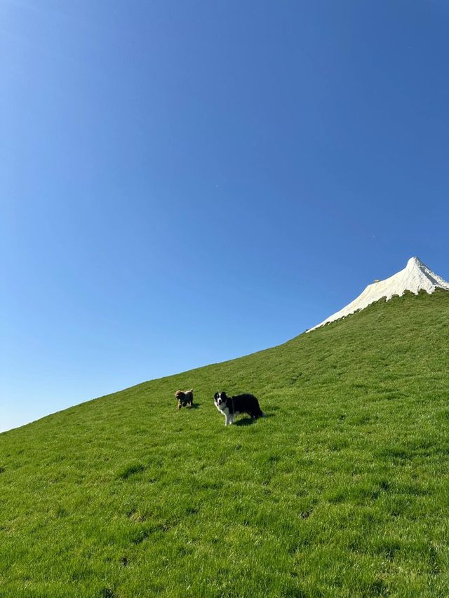 帶狗玩|北京周邊|驚現小冰島+富士山