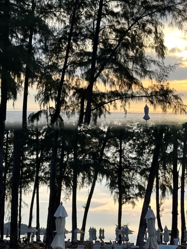 海島旅行必住！洲際酒店嘅完美體驗指南