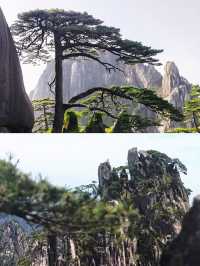 黃山好靚，但唔會再去