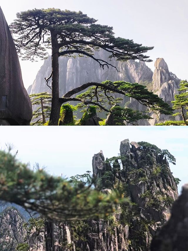 黃山好靚，但唔會再去