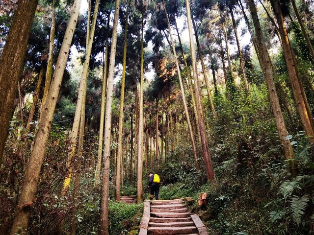 青城山旅行攻略|道教聖地與自然奇觀的完美交融 青城山旅行攻略|道教聖地與自然奇觀的完美交融