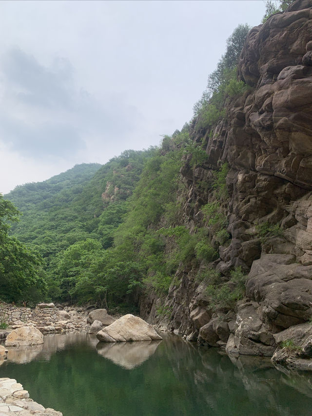 青山溪水嘅梨木台
