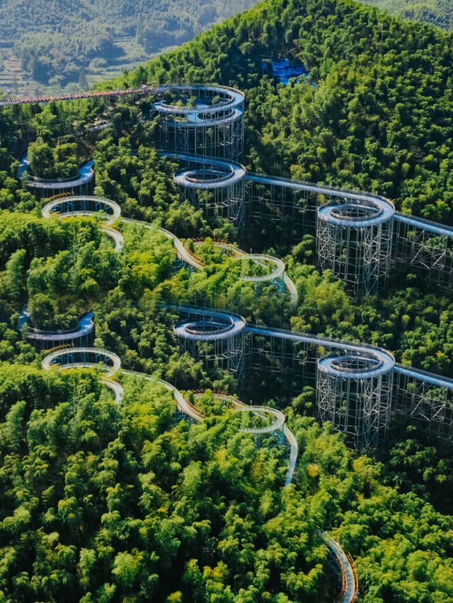 秋天的童話：安吉探秘之旅