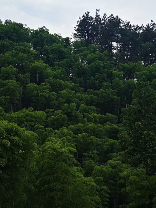 畢業季｜回歸自然療癒，盡情享受這個夏天
