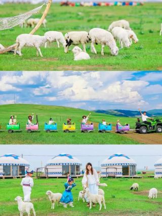 Summer 2025 in Inner Mongolia: Fun Ways to Travel with Kids