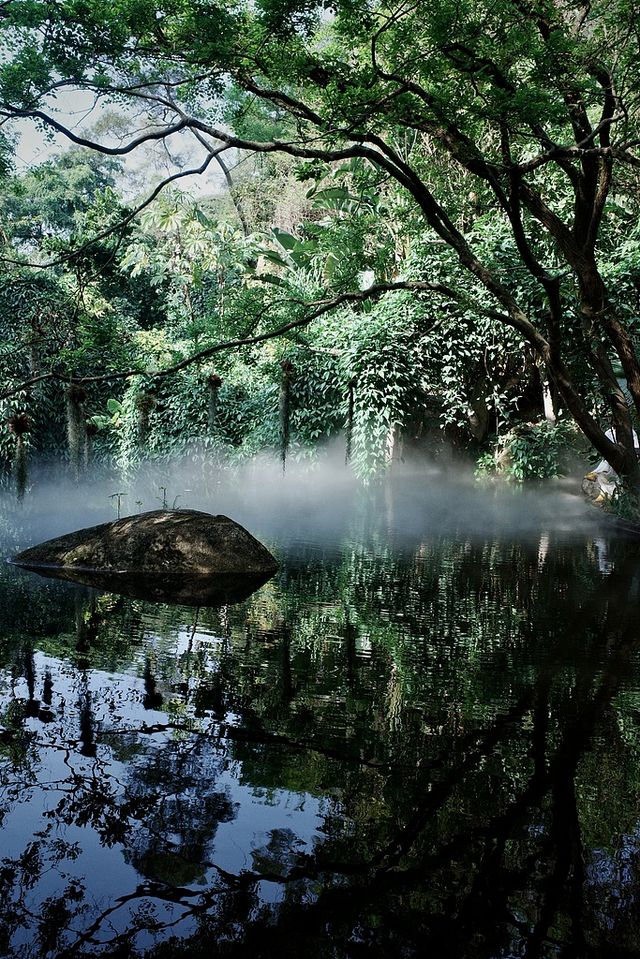 廈門植物園|現實版嘅綠野仙蹤畀我搵到啦