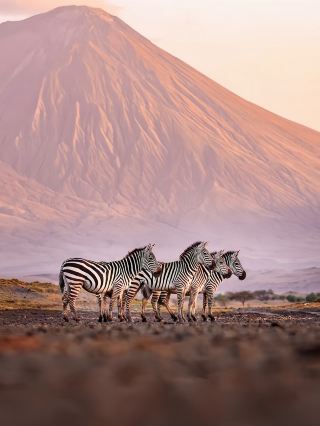 Kenya Group Tour Experience: All First-Hand Insights (No Edits)