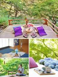 界・箱根｜隆重重開 自然與人文交融嘅溫泉旅館