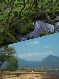 發現茶馬古道上的隱世秘境--拉市海