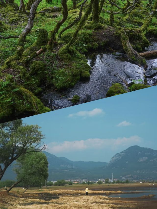 發現茶馬古道上的隱世秘境--拉市海