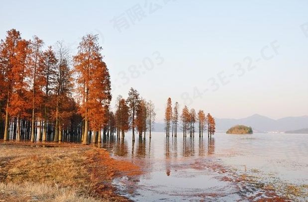 寧波四明湖：景食住行全攻略
