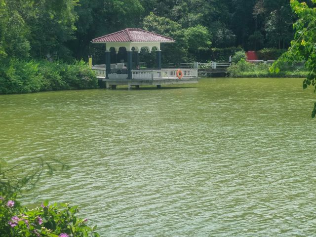隱藏於白雲山麓嘅翡翠秘境