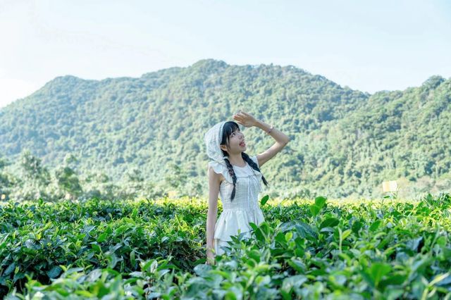 夏天到啦，快帶上家人們來英德避暑！
