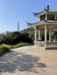 Drone Delivery In The Park, Experience The Future In Shenzhen. It’s Amazing 
