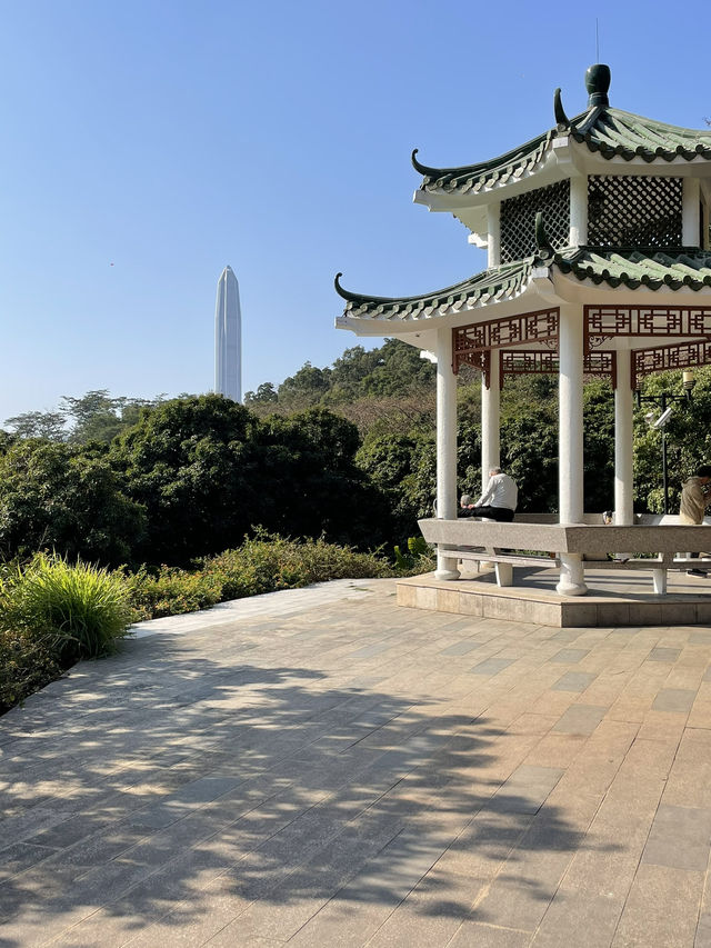 Drone Delivery In The Park, Experience The Future In Shenzhen. It’s Amazing 