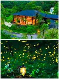 暑假湊仔｜我喺普洱住進大自然深處