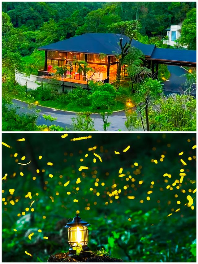 暑假湊仔｜我喺普洱住進大自然深處