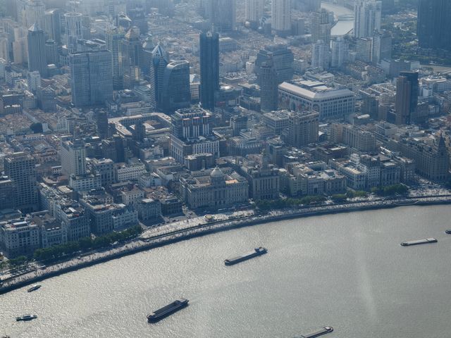 上海之巔打卡指南
