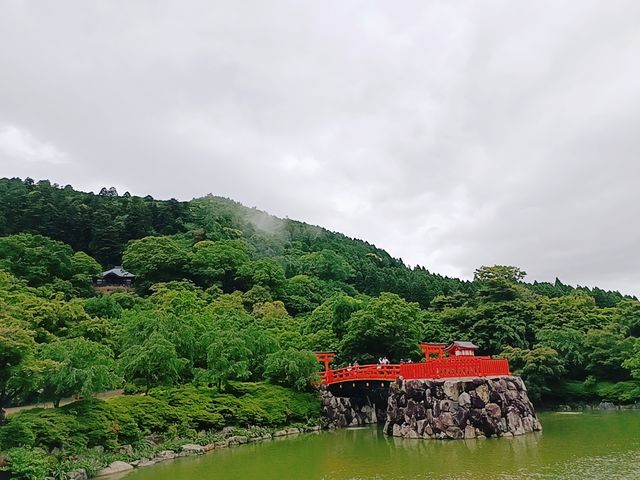 日本小眾秘境｜勝丸寺一日靜心之旅竹林禪意穿越千年！  關西隱藏款！京都後花園裡的唐代遺風 