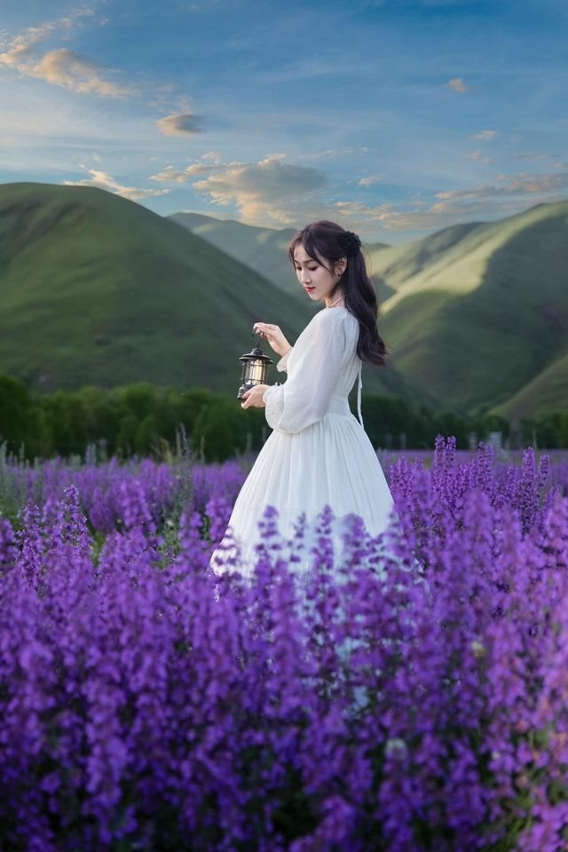 白裙與紫浪，薰衣草田裡的夏日情書