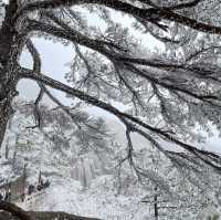 【世界遺産 黄山🏔️】山頂ホテルで1泊🏨黄山旅行