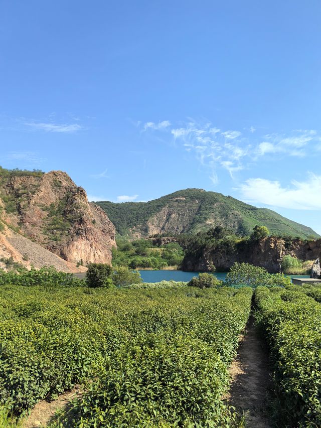 行山新手都搞得掂嘅蘇州靈白線呢條路線真係好啱週末嚟放鬆吓！既可以感受大自然又唔會太攰，路上仲可以偶遇超