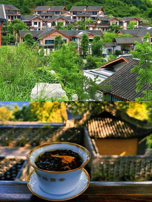 離太陽最近嘅山！喺蒙頂之巔，睇一場雲海托日嘅視覺盛宴！
