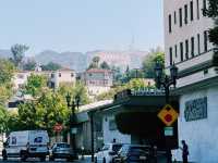 🌟 Hollywood Dreams in LA! 🌴