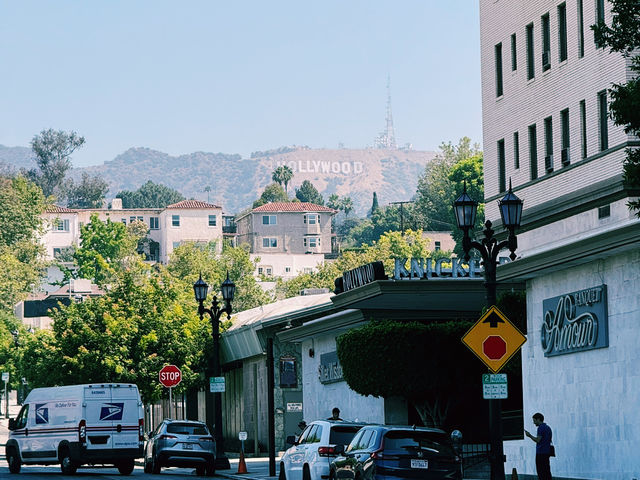 🌟 Hollywood Dreams in LA! 🌴