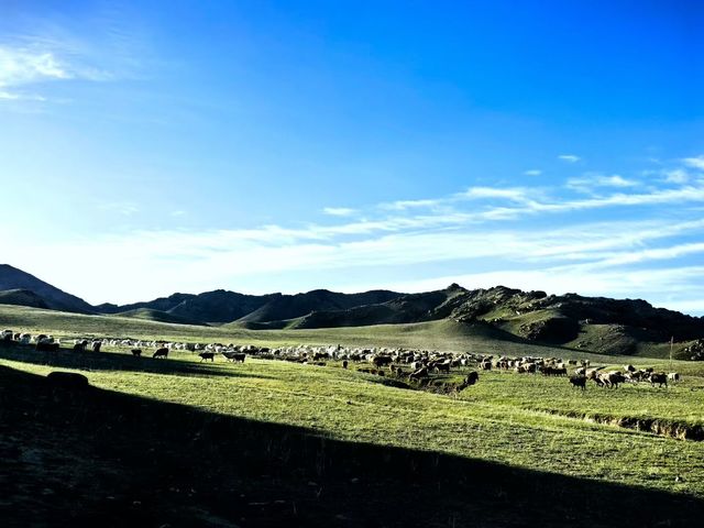 新疆秘境｜獨庫公路絕美自駕攻略 附必拍景點  
獨庫公路天花板！一年只開4個月嘅最美公路！  
