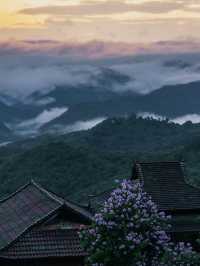 普洱必玩全攻略