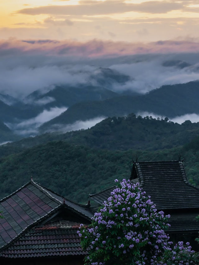 普洱必玩全攻略