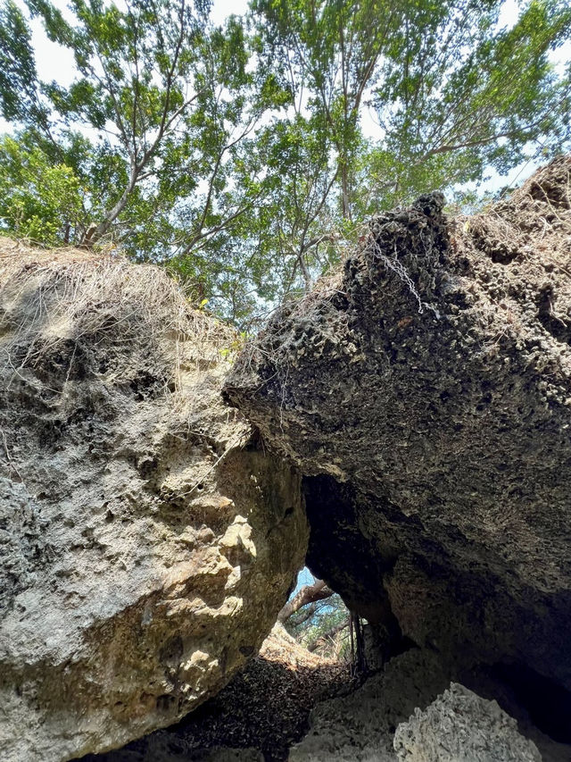 步入海底，美人洞的藍色祕境