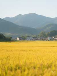 廣東私藏「小桂林」！河源3日2夜攻略，連本地人都跟住玩