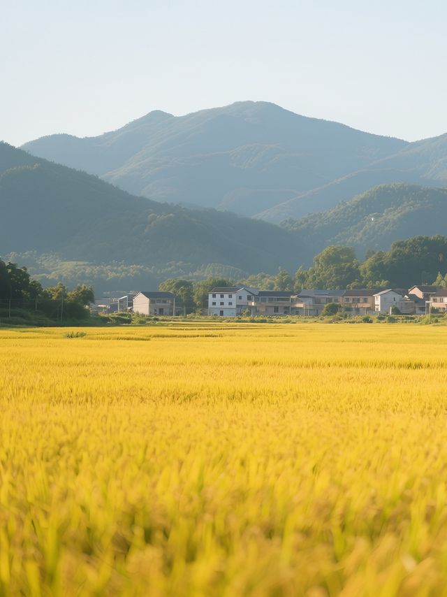 廣東私藏「小桂林」！河源3日2夜攻略，連本地人都跟住玩