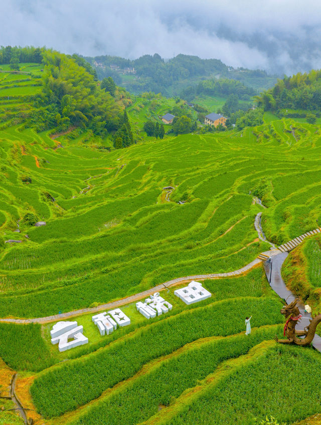 發個朋友圈問瘋啦，不在貴州，在浙江