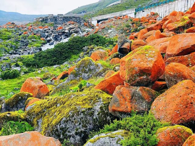 邂逅山海，奔赴川西 | 海螺溝、磨西古鎮、榆磨路旅遊攻略