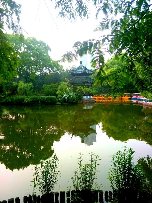 上海浦東四天三晚旅行攻略  一、預算明細（按1人計算）  | 項目 | 費用估算 | | 往返交通（