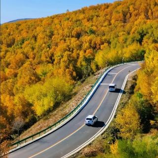 Late September to October, 7 perfect routes for autumn road trips, with endless golden autumn scenery!