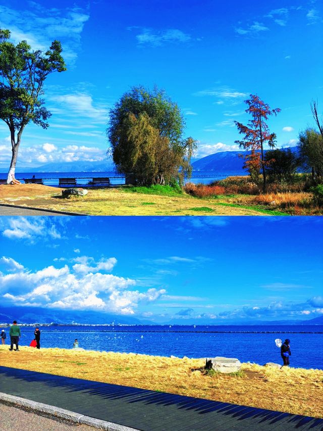 洱海3天2晚慢遊攻略紅杉海鷗懸崖日落一次看夠！