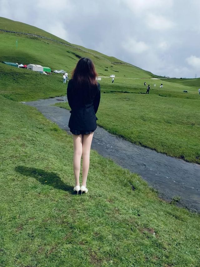 滇東北的20萬畝秘境,雲上草原的四季牧歌 滇東北的20萬畝秘境,雲上草原的四季牧歌