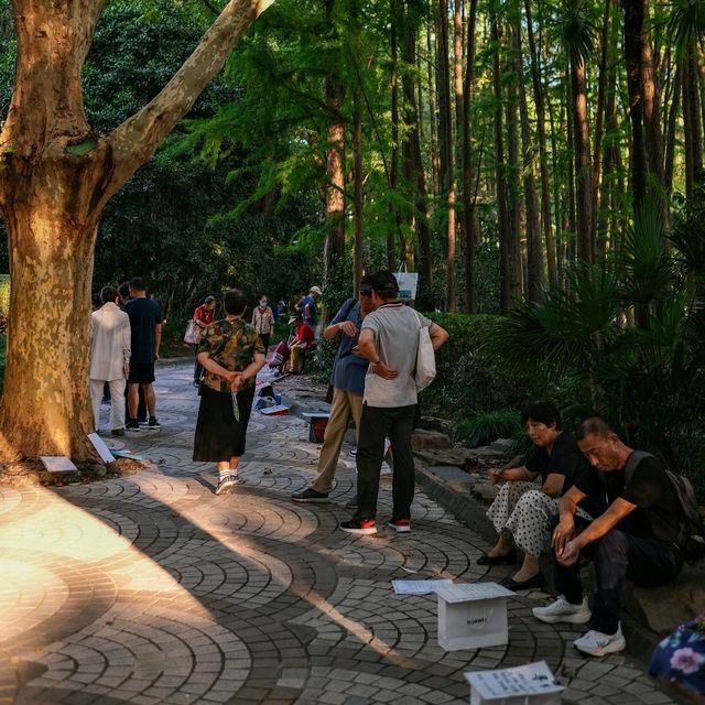 🌳 Shanghai Parks: Green Escapes in the Urban Jungle
