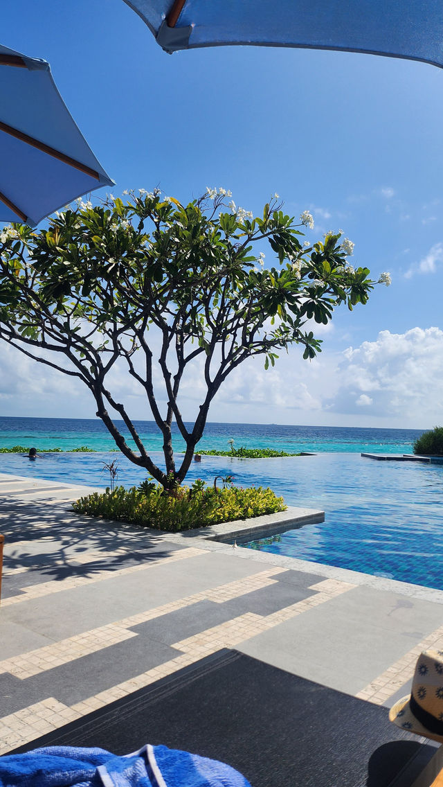 Wonderful Week at Saii Curio Maldives