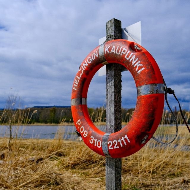 🌿 Lammassaari: Where Helsinki Meets the Swamplands