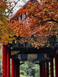 石門坊賞紅葉，邂逅秋日浪漫