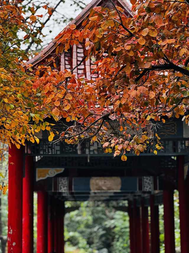石門坊賞紅葉，邂逅秋日浪漫