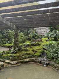仙湖植物園：深圳綠肺，藏盡四季植物奇觀