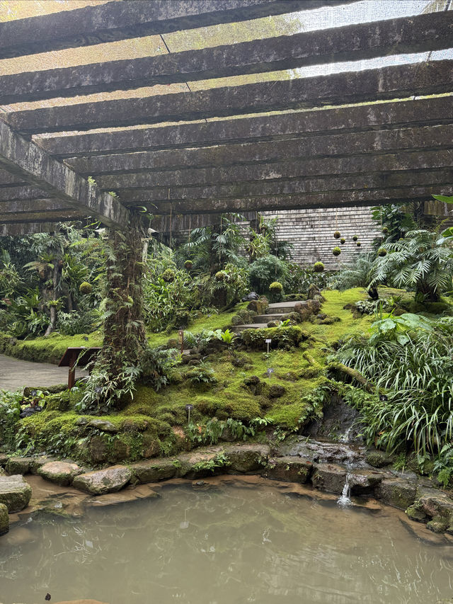 仙湖植物園：深圳綠肺，藏盡四季植物奇觀